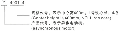 西安泰富西玛Y系列(H355-1000)高压YKK4502-2/560KW三相异步电机型号说明